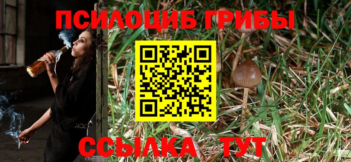 Псилоцибиновые грибы Psilocybine cubensis Дедовск