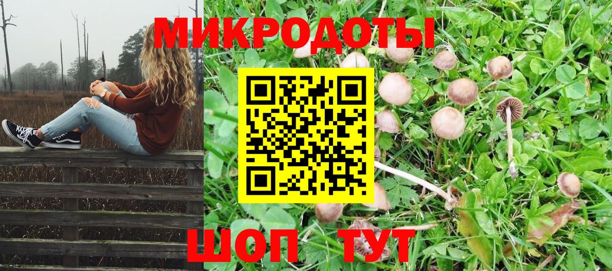 Галлюциногенные грибы GOLDEN TEACHER  Галлюциногенные грибы ЛСД  Вход с VPN  Дедовск 